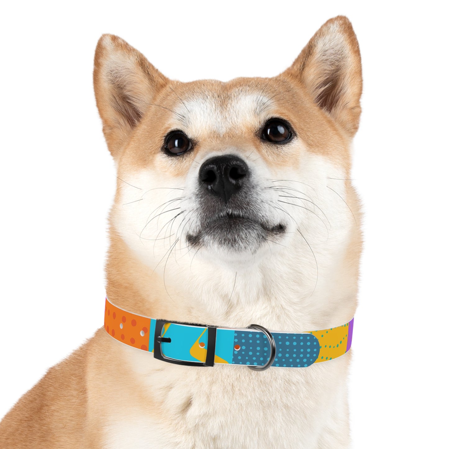 Dog Collar