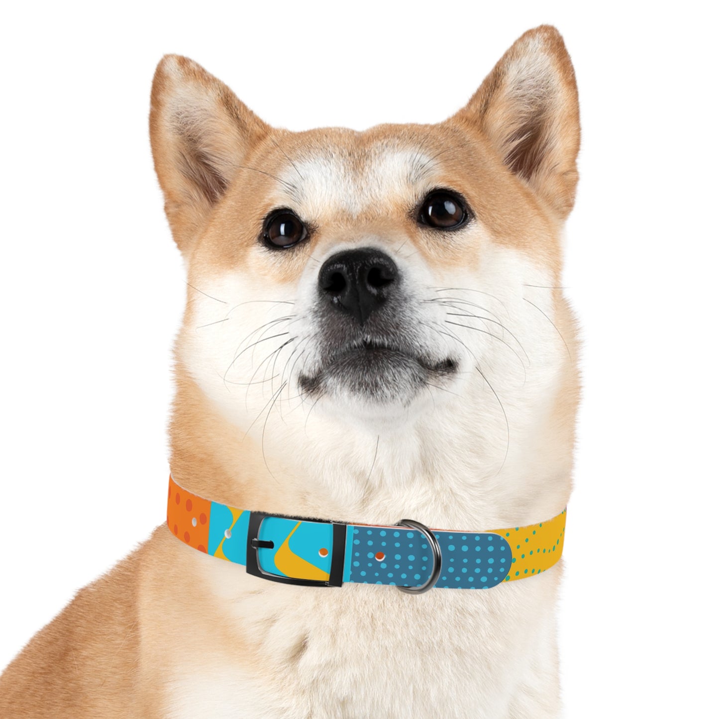 Dog Collar